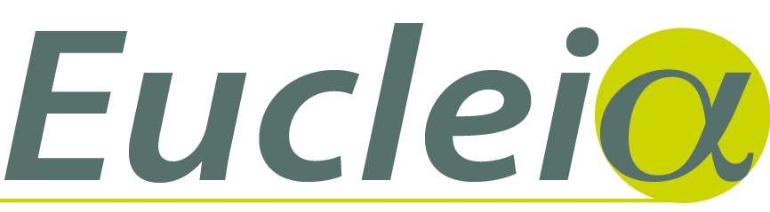 European Climate and weather Events: Interpretation and Attribution (EUCLEIA) project logo