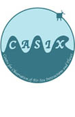 Centre for the Observation of Air-sea Interaction and fluXes (CASIX) logo
